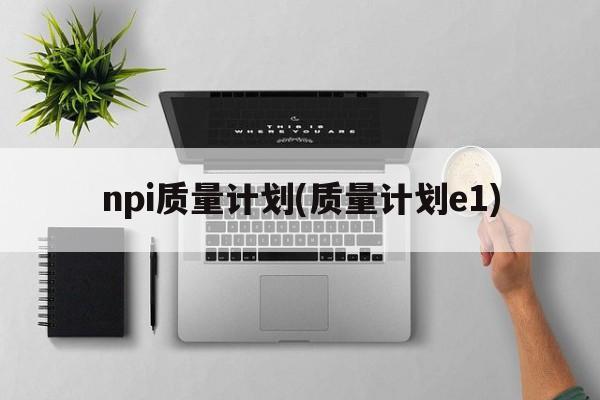 npi质量计划(质量计划e1)