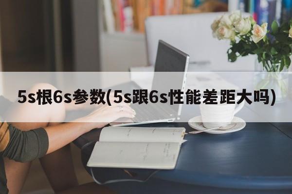 5s根6s参数(5s跟6s性能差距大吗)