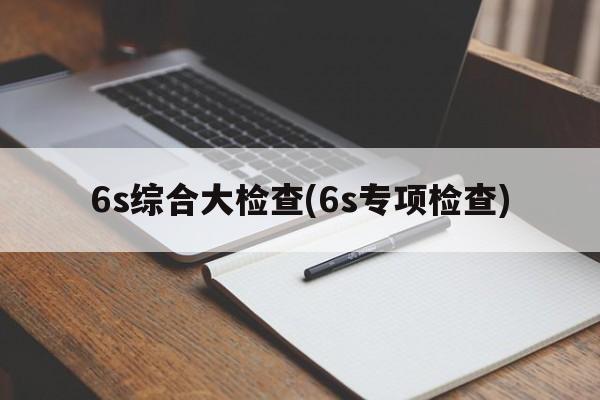 6s综合大检查(6s专项检查)